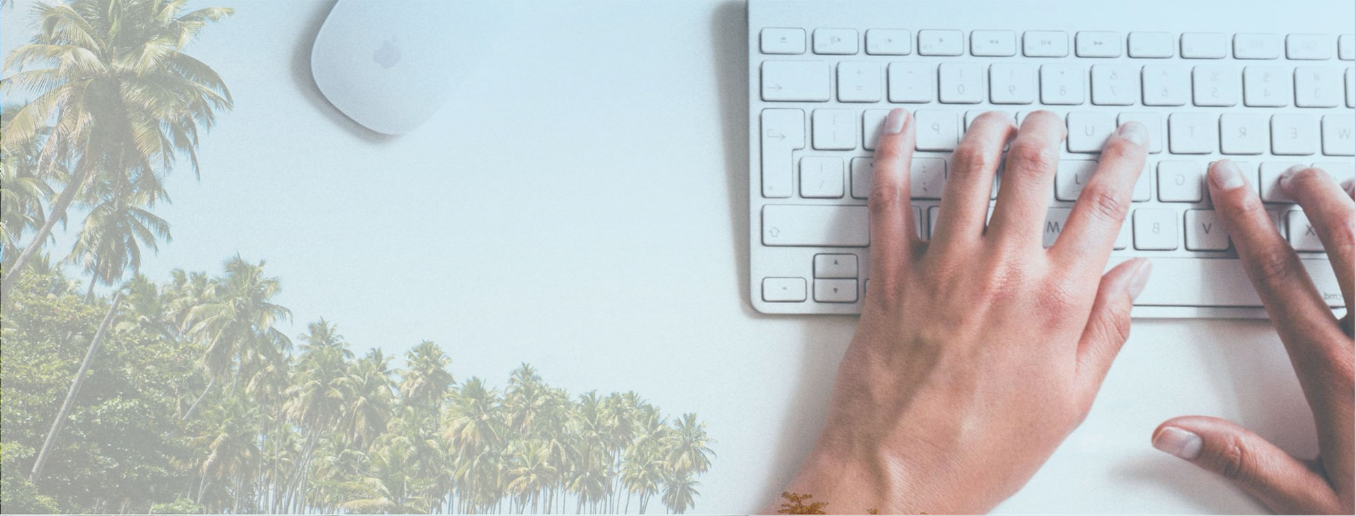 Hands typing on keyboard with palm trees in background